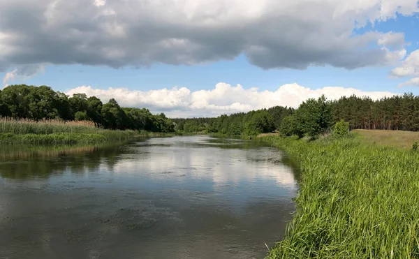 Russische Sommerlandschaft — Stockfoto