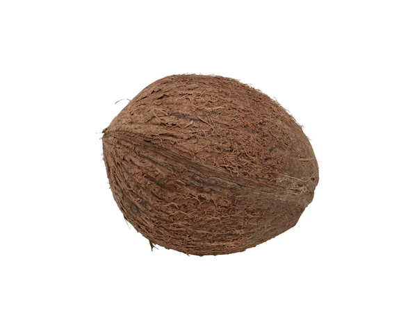 Nucă de cocos, izolată — Fotografie, imagine de stoc