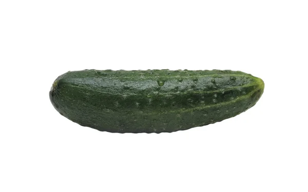 Fresh cucumber, isolated — Stock Photo, Image