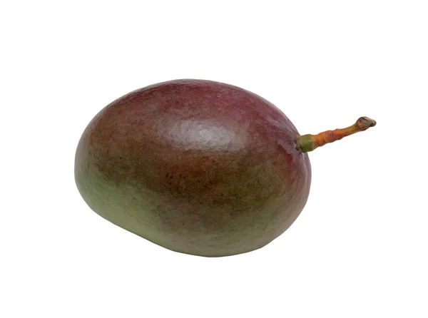 Mango, isolated — Stock Photo, Image