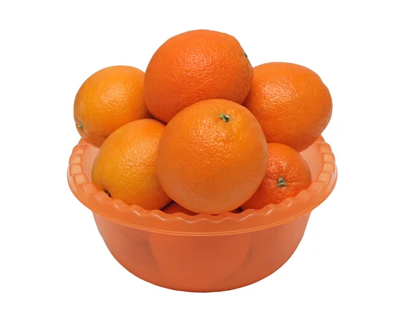 Dish with oranges, isolated — Stock Photo, Image