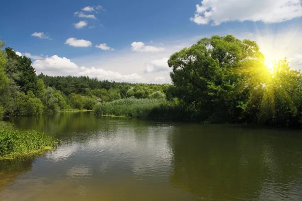 Prachtig zomers landschap — Stockfoto