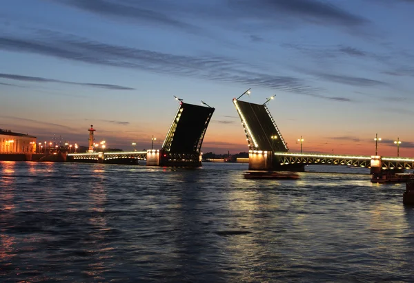 Night view of Palace Bridge. St Petersburg, Russia. — Stock Photo, Image