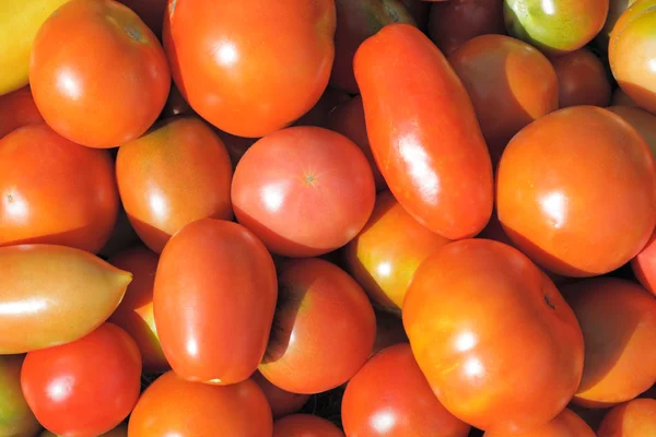 stock image Red tomato