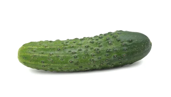 Fresh cucumber, isolated — Stock Photo, Image