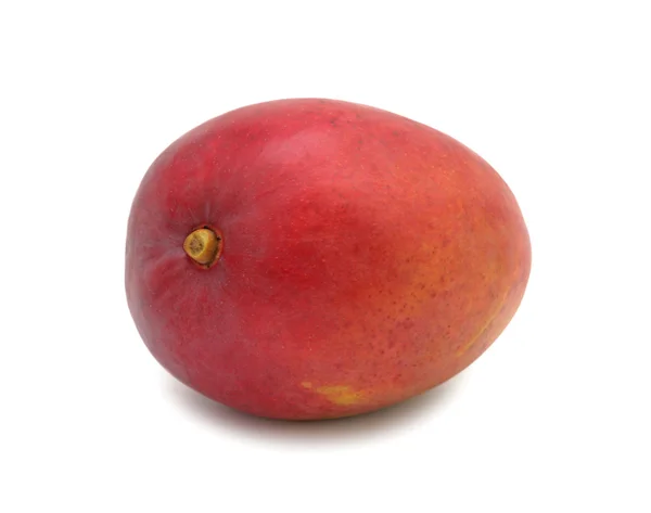 Mango, izole — Stok fotoğraf