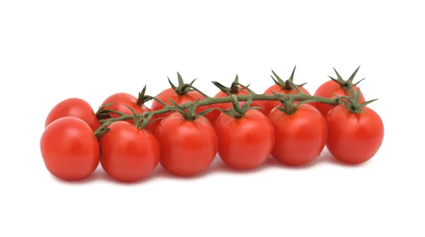 Grupo de tomates maduros, aislados — Foto de Stock