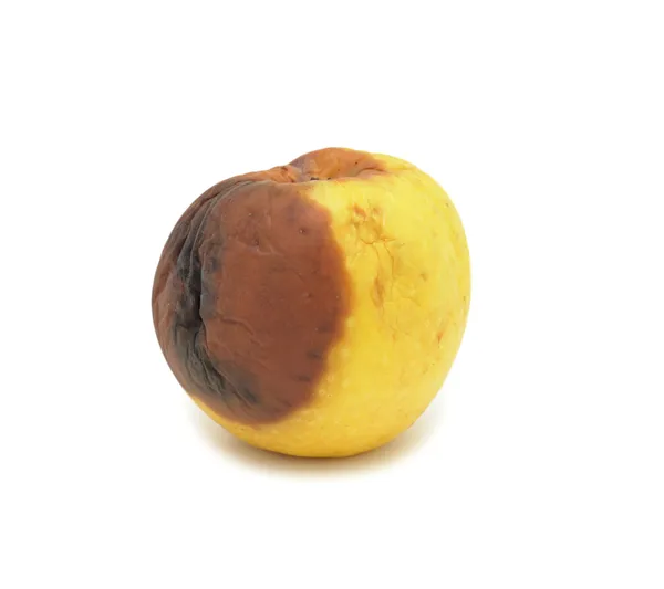 Rotten apple, isolated — Stock Photo, Image
