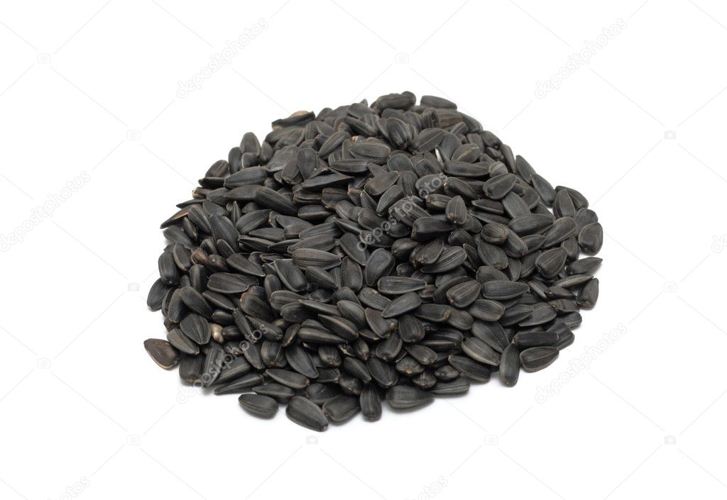 Pile of sunflower seeds, isolated