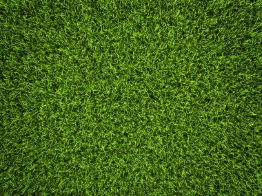 Grass Background clipart