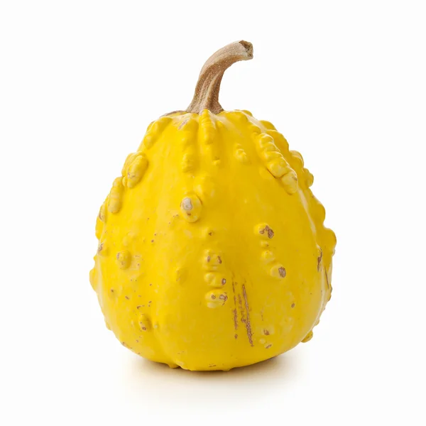 Decorative Pumpkin — Stock Photo, Image