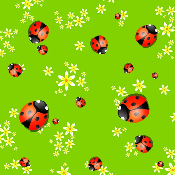 Arrière-plan avec lady bugs — Image vectorielle