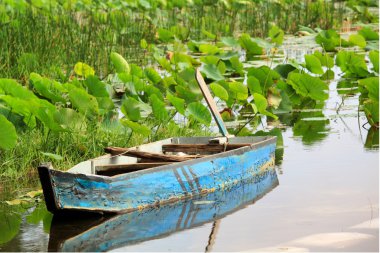 Lotus Gölü