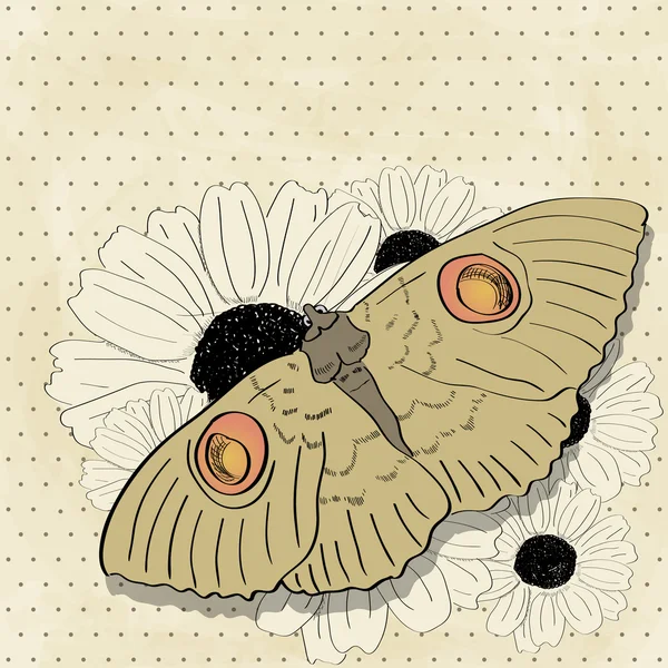 老式蝴蝶 — 图库矢量图片