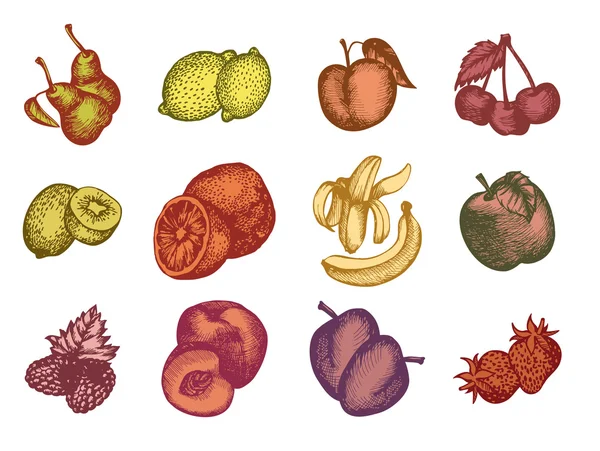Set di frutti e bacche — Vettoriale Stock