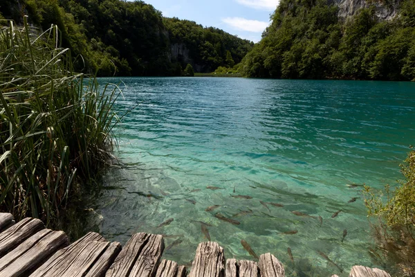 stock image Plitvice Lakes.