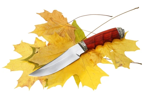 A faca de caça em folhas de bordo Imagem De Stock