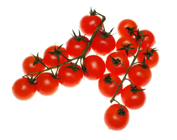 Tomatoes a cherry on a white background — Stock Photo, Image