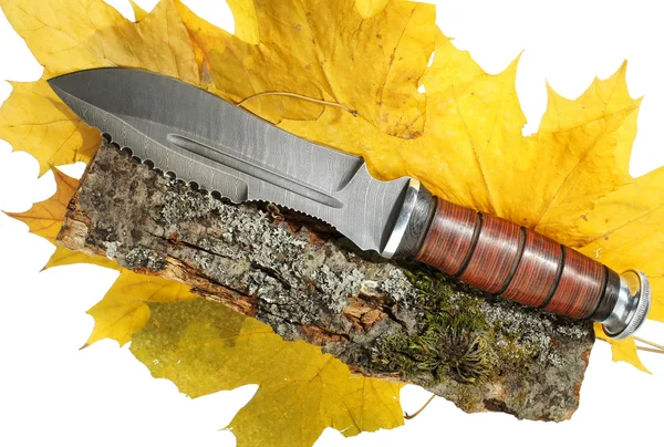 El cuchillo de caza en hojas de arce — Foto de Stock