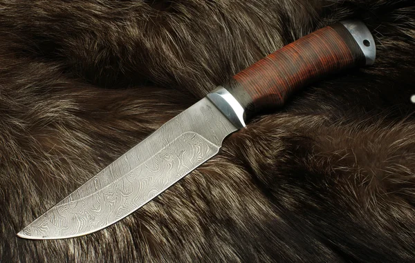stock image Knife on fur of a black fox