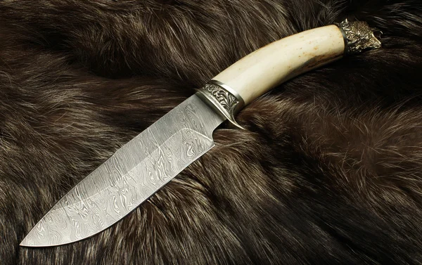 Knife on fur of a black fox — Stock Photo, Image