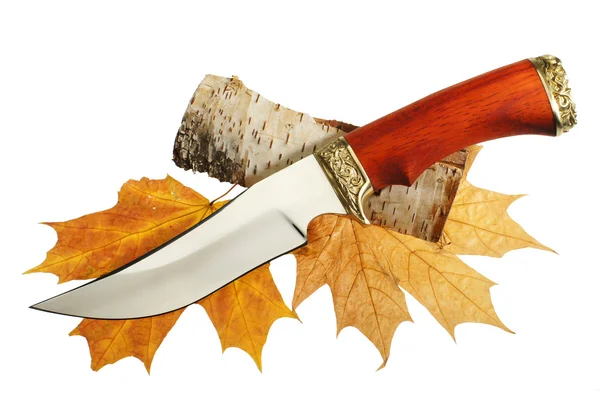 Охотничий нож на листьях клена — стоковое фото
