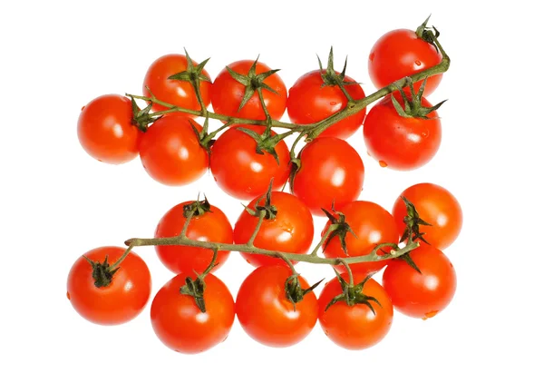 Tomatoes a cherry on a white background — Stock Photo, Image