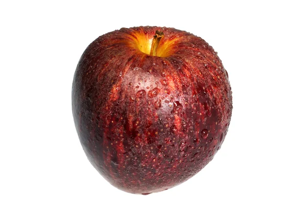 Яблуко з краплями води на білому тлі — стокове фото
