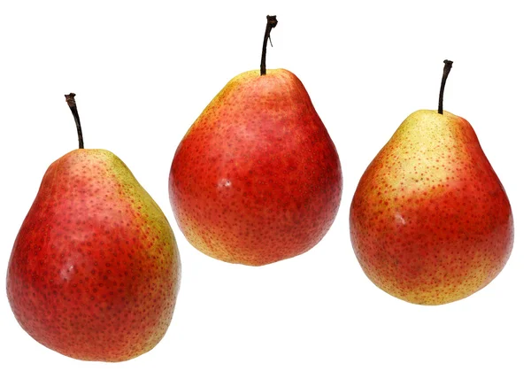 白色背景上的三颗梨子 — 图库照片