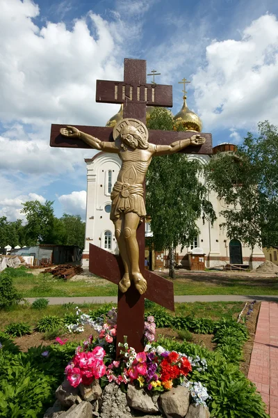 stock image Jesus Christ dying on the cross.