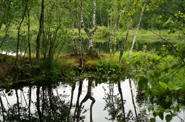 ahşap lake