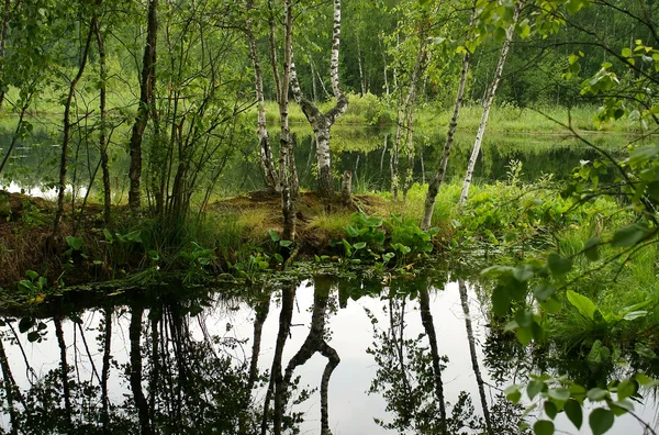 stock image Wood lake