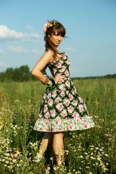 Krásná dívka s camomiles — Stock fotografie