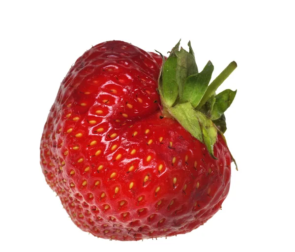 Φράουλα μούρο σε λευκό φόντο — Φωτογραφία Αρχείου