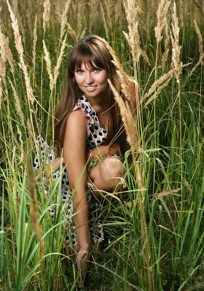 Het mooie meisje in het veld — Stockfoto