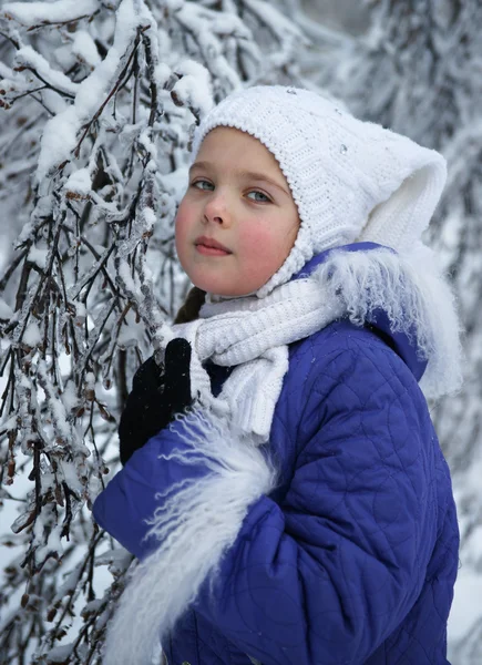 Pieni tyttö talvella puu — kuvapankkivalokuva
