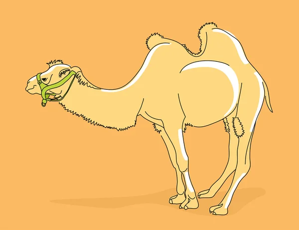Ilustración de camello — Vector de stock