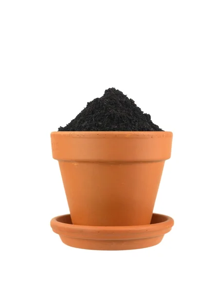 Flower Pot — Stock Photo, Image
