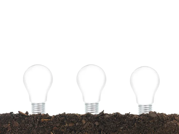 Growing Bulbs — Stock Photo, Image