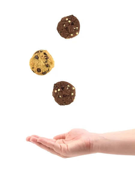 Choc biscotti — Foto Stock