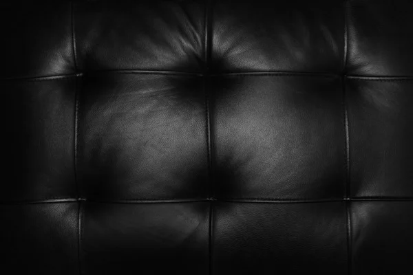 stock image Leather Couch