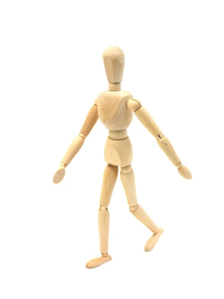 人体模型 — 图库照片