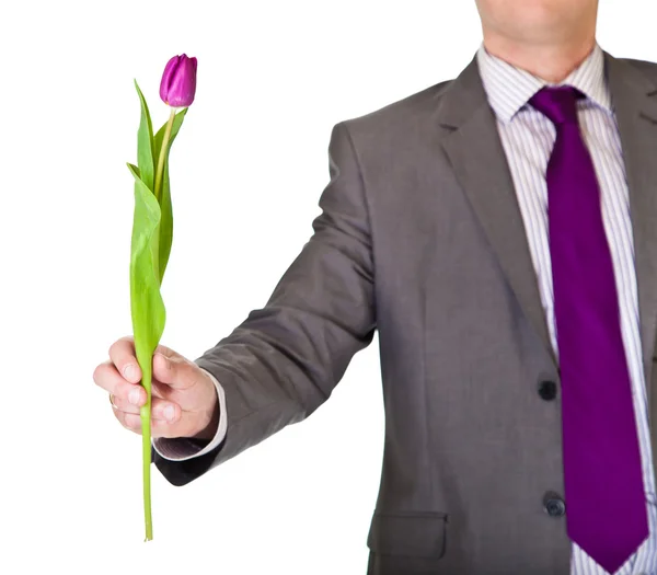 Homme en costume et cravate tenant fleur de tulipe isolé sur blanc — Photo