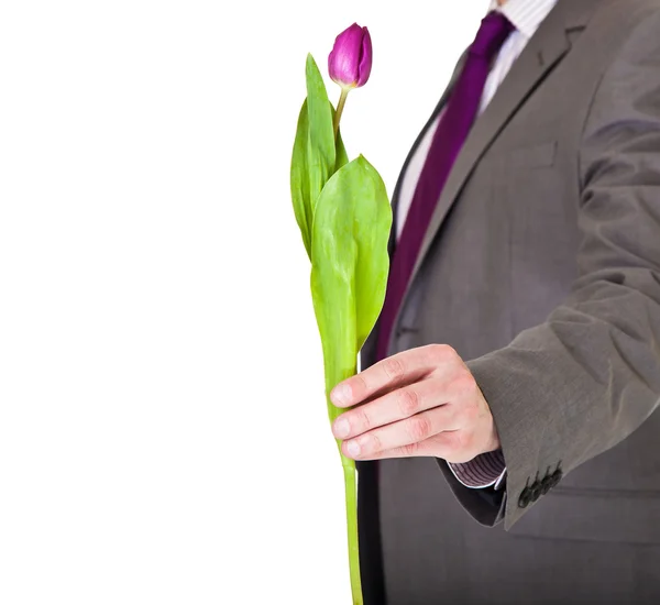 Mann in Anzug und Krawatte hält Tulpenblume isoliert auf weiß — Stockfoto