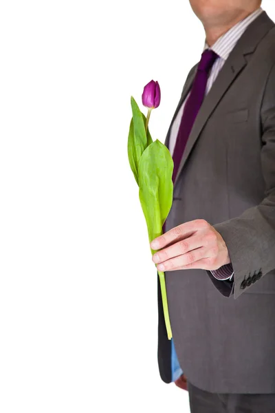 Takım elbise ve kravat üzerinde beyaz izole Lale çiçek tutan adam — Stok fotoğraf