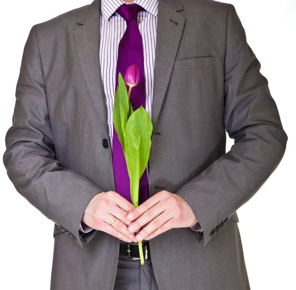 Hombre de traje y corbata sosteniendo flor de tulipán aislado en blanco —  Fotos de Stock
