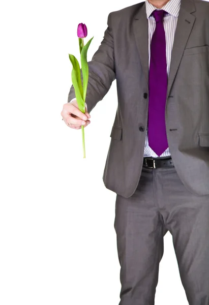 スーツとネクタイを白で隔離されるチューリップの花を保持している男 — ストック写真