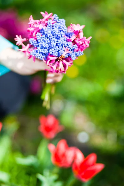 Donna che tiene bouquet di fiori — Foto Stock