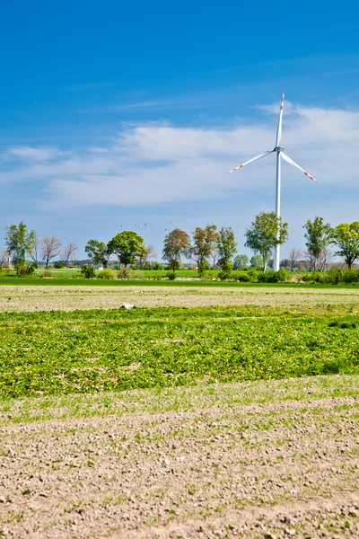 Wind powerplants countryside — Stock Photo, Image