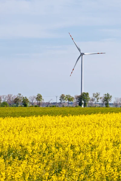Windkraftanlagen auf dem Land — Stockfoto